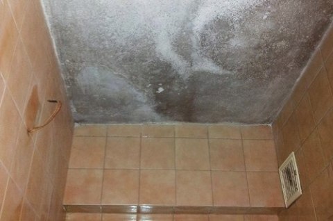 Farba przeciw pleśni, na pleśń, anty-pleśniowa 1L Farba przeciw pleśni, na pleśń, anty-pleśniowa 1L